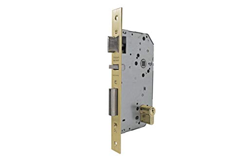 Tesa Assa Abloy 203050LP Cerradura De Embutir Para Puertas De Madera Con Cilindro Latón Pulido Entrada 50 mm, Frente Cuadrado 2030