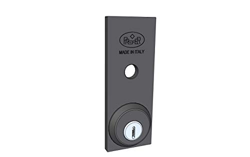Placa Exterior de Seguridad para Cerradura de Puerta basculante/Garaje
