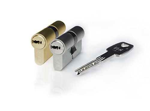 IFAM Cilindro para Puertas Serie Platinum M, 30X40 mm, Leva 15mm, Bombín 5 Llaves, Doble Sistema Antibumping, Doble Protección Antitaladro y Antiganzúa, Cerradura de Perfil Europeo, Color Níquel