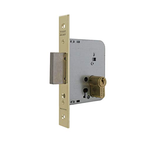 Tesa Assa Abloy 203150HL Cerradura De Embutir Para Puertas De Madera Con Cilindro Latonado Entrada 50 mm, Frente Cuadrado 2031