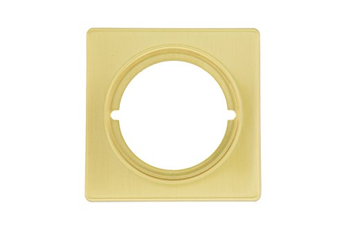 Tesa Assa Abloy 45290LM - Escudo Embellecedor para pomos, Laton Mate