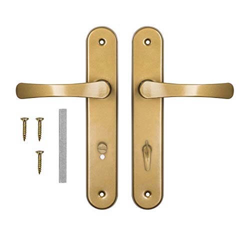 ADGO Tirador Juego de Tiradores Para la Puerta del WC Para el Baño 72 mm Bizcocho, Tirador de Aluminio, Placa de Acero Galvanizado con Recubrimiento en Polvo, Juego de Tornillos de Montaje, Dorado