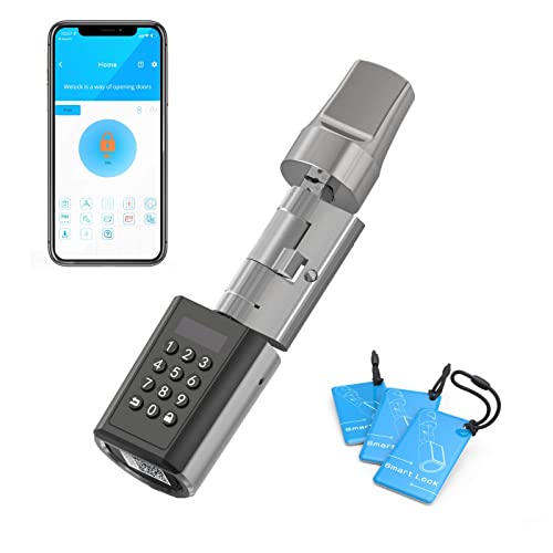 RUILON Cerradura Inteligente, Cerradura electrónica con teclado digital, tarjeta RFID, conexión Bluetooth y WIFI, Ruilon Smart Lock IP65 resistente al agua, cilindro de cerradura inteligente 30*30 mm
