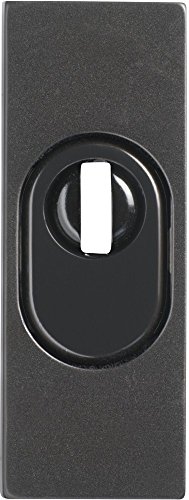 Abus 09403 RSZS316 B7 SB - Embellecedor de cerradura con perfil para bombín para puertas metálicas, color marrón oscuro